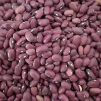 نخود و لوبیا چیتی