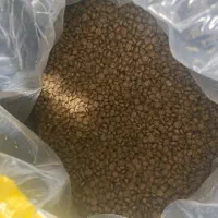 غذای حمایتی گربه