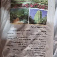 شید سایبان