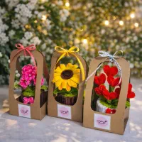 گل مخملی (گلی که جایی پیدا نمیکنی)