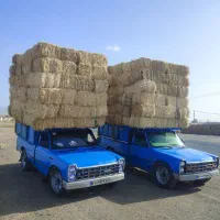 پرس گاه قیمت مناسب