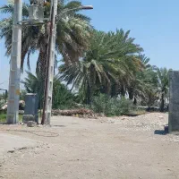 اجاره-زمین-کشاورزی-10هکتار-قلعه-قاضی