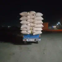 کاه دیم تحویل درب منزل