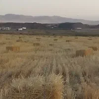 پرس گندم ( پخل )