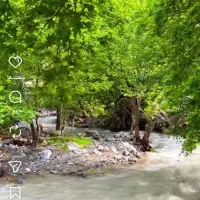 تور  شمال بابلسر بااکیپ جوان حرکت دهم شهریور