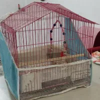 قفس پرنده