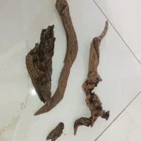 تنه چوب آبنوس آکواریوم