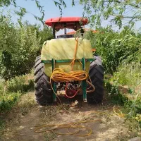 سم پاشی،شخم زنی،بذر کاری