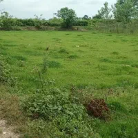 زمین-باغی-1500متر-شکاری