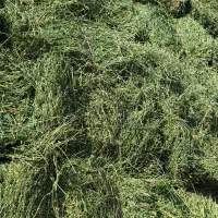 بیده یونجه پرس گندم جو شالی کلزا کاه