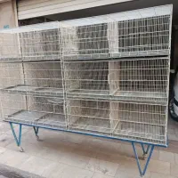 قناری قاطری ۲دست