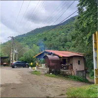 نیازمند نیروی کار در بوم‌گردی و کافه رستوران