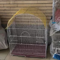 قفس پرنده