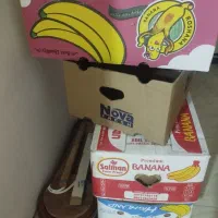 کارتن