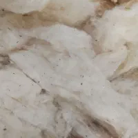 پنبه