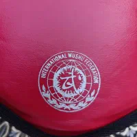 هوگو اصل مخصوص کونگ‌فو و ووشو