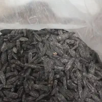 تبلت بادوم زمینی وتخمه