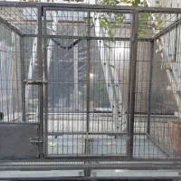 قفس پرنده سگ گربه