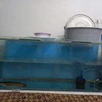 آکواریوم بزرگ ماهی