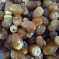 رطب گنتار