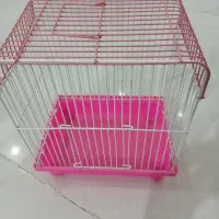 قفس