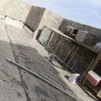 قفس جفت کن کبوتر