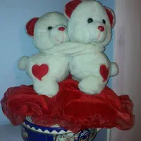 یک جفت عروسک خرسی