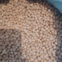 نوخود امسال تمیز