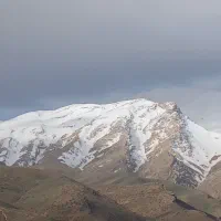 خط رند