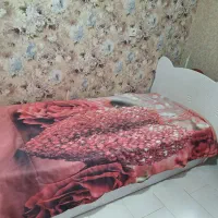 تخت یک نفره د تا از یه مدل دو تا ست باهم