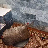 ظروف نگهداری