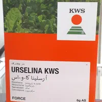 خریدوفروش بذر چغندرقند