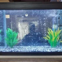 فروش آکواریوم شرکتی