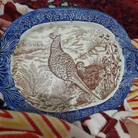 دیس قدیمی باقدمت ۹۰ساله چینی ژاپن