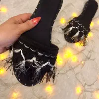 صندلای مجلسی نو