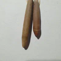 عرج بحری