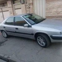 زانتیا بسیار سالم بدون آفتاب سوختی