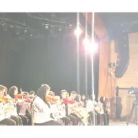 ویولن حرفه ای