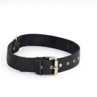 قلاده چرم|لوازم جانبی حیوانات|تهران, بازار|دیوار