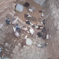 کفتر