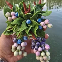 مگنت بلوبری