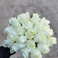 دسته رز|گل و گیاه طبیعی|اصفهان, ملکشهر|دیوار