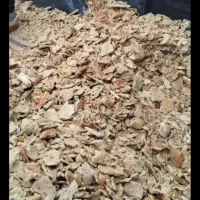 نون خشکه