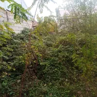 ضیابر اوایل فرهنگیان  زمین مسکونی سندار