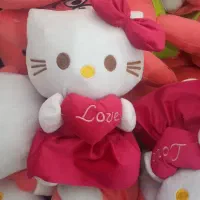 تولید وپخش انواع عروسک