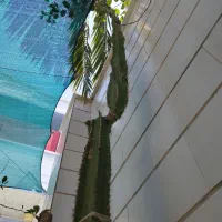 کاکتوس 4 متری