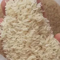 برنج ندا