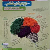 کتاب هوش مالتیپل تیزهوشان ششم خیلی سبز