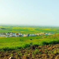 زمین کشاورزی   محدوده شهرک صنعتی