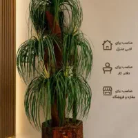 گل مصنوعی، گلدان سرباز هخامنشی .